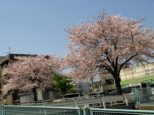 c0011204_225345100.jpg