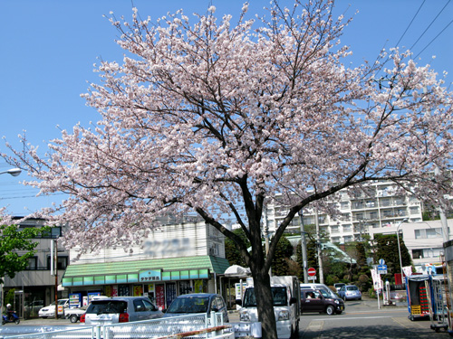 c0011204_22535785.jpg