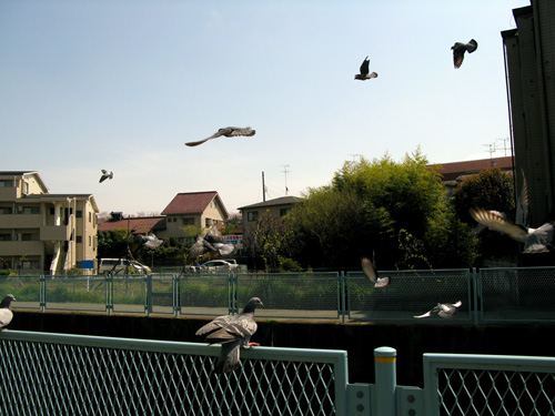 c0011204_22582963.jpg