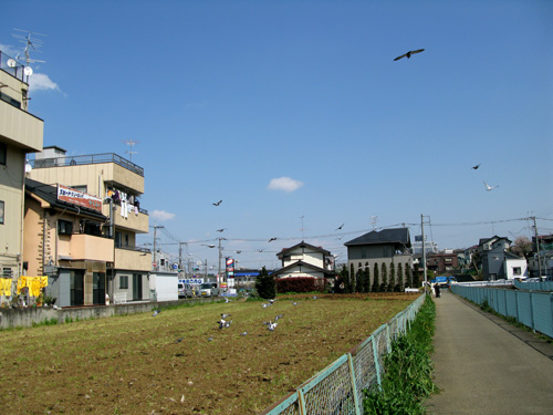 c0011204_2305120.jpg