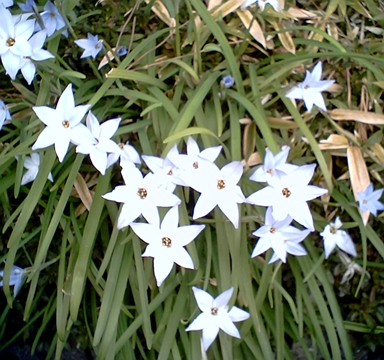 b0026408_01138.jpg
