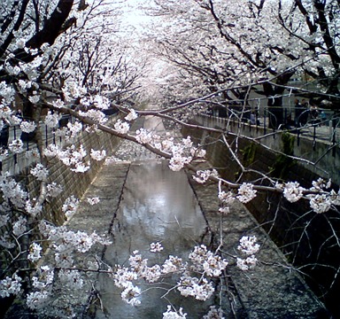b0026408_0473670.jpg