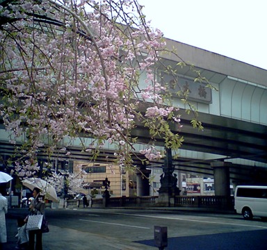 b0026408_2319234.jpg