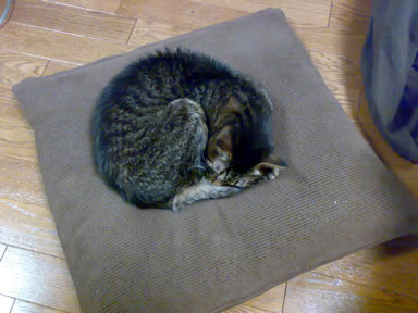 b0083708_21505083.jpg
