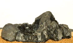 e0103408_1336060.gif
