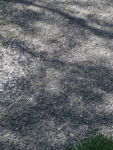 b0189209_21323358.jpg