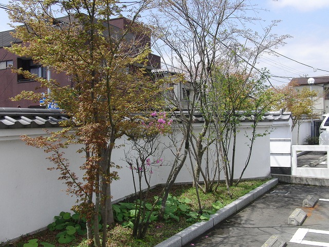 今日は「花まつり」_f0141310_23374058.jpg