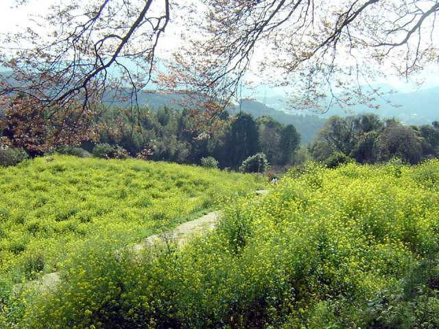 d0088611_0162993.jpg