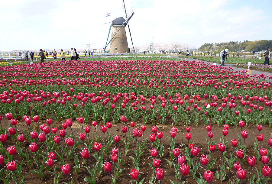 d0151813_23562234.jpg