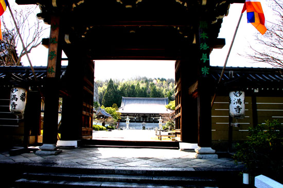 さくら満開 妙満寺_e0048413_23575843.jpg