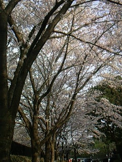 c0164514_0141531.jpg