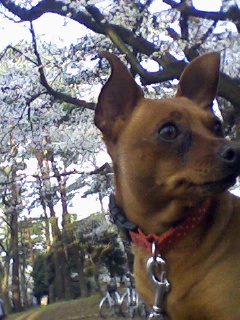 c0164514_0163366.jpg