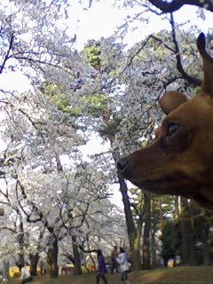 c0164514_016846.jpg