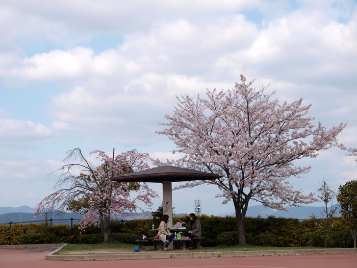 佐伯区運動公園 ゆきだより 日々つれづれ