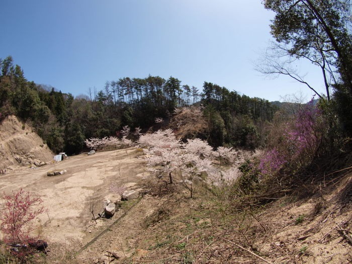 秘密の桜山_c0116915_23142292.jpg