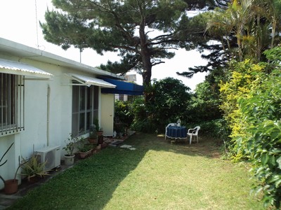 f0178416_1736254.jpg