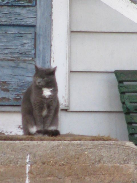 Old Saybrook_e0101819_8385060.jpg