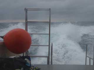 f0022222_15162.jpg