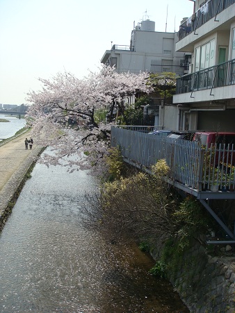f0042726_8194511.jpg