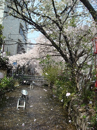 f0042726_826551.jpg