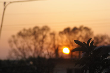 c0227728_00576.jpg