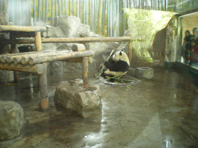 d0054930_13442917.jpg