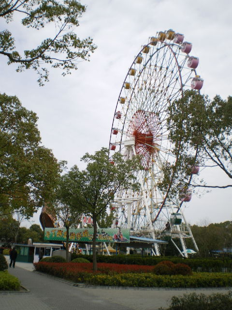 d0054930_13535527.jpg