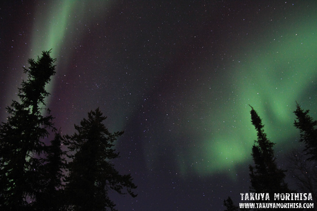 033 Aurora Village ~オーロラ撮影1夜目~_c0211532_003195.jpg