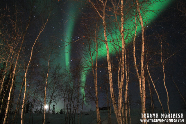033 Aurora Village ~オーロラ撮影1夜目~_c0211532_014767.jpg