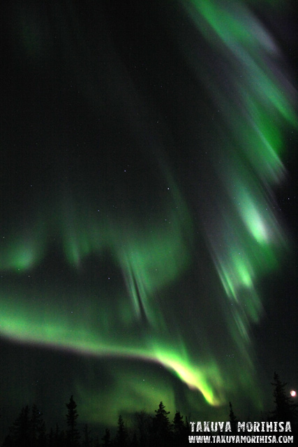 033 Aurora Village ~オーロラ撮影1夜目~_c0211532_0161682.jpg