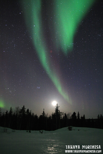 033 Aurora Village ~オーロラ撮影1夜目~_c0211532_021486.jpg