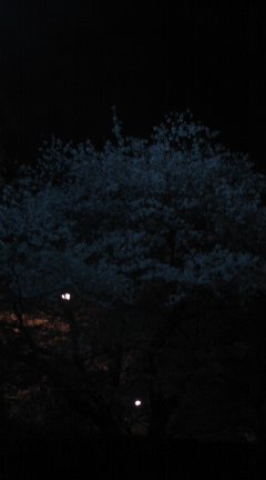 e0069433_21565100.jpg