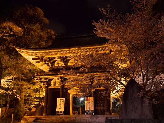 桜花巡礼2010～滋賀・三井寺～　_e0080133_2305319.jpg