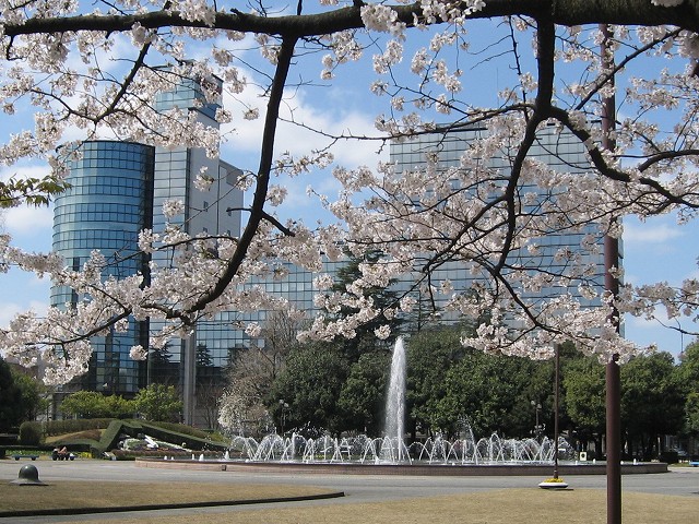 b0184436_221287.jpg