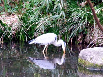 仙台酒場巡りの前に一休み。公園散歩で春陽を浴びる。_b0019140_14112412.jpg