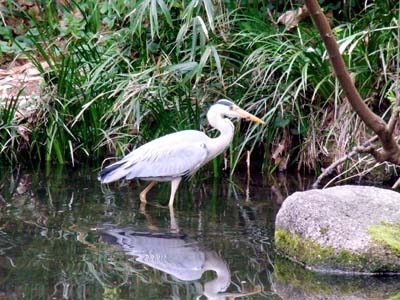 仙台酒場巡りの前に一休み。公園散歩で春陽を浴びる。_b0019140_1493787.jpg