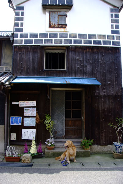 b0075541_21241570.jpg