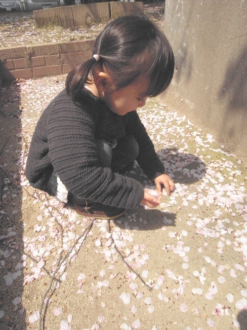 sakura*sakura*sakura*_e0147641_23421289.jpg