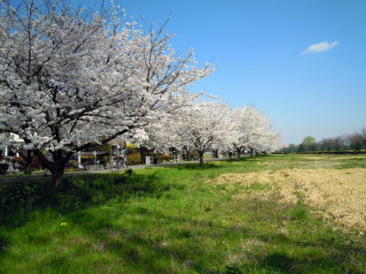 b0154343_2301236.jpg