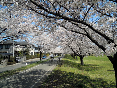 b0154343_2321615.jpg