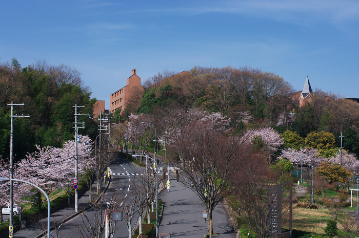 春のキャンパス_f0155048_0403530.jpg