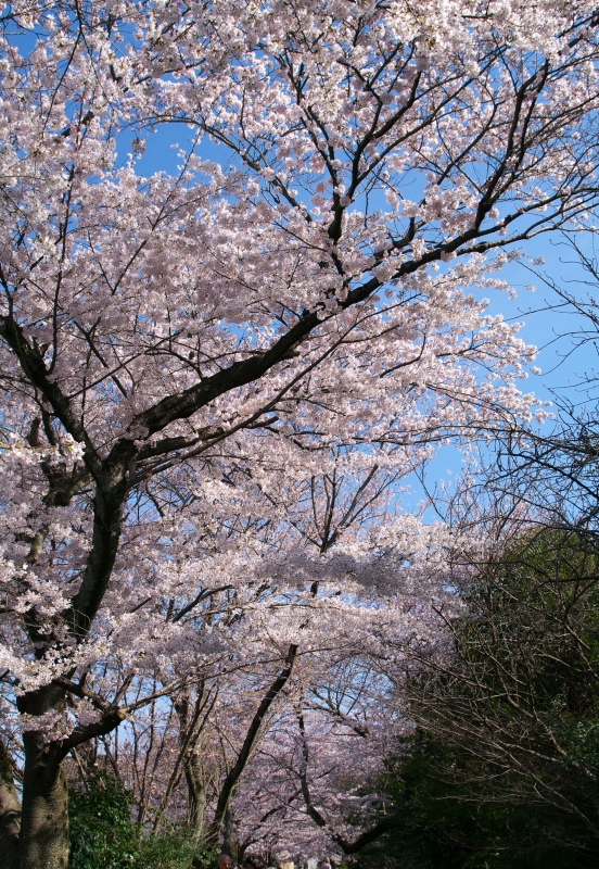 b0147449_18591342.jpg