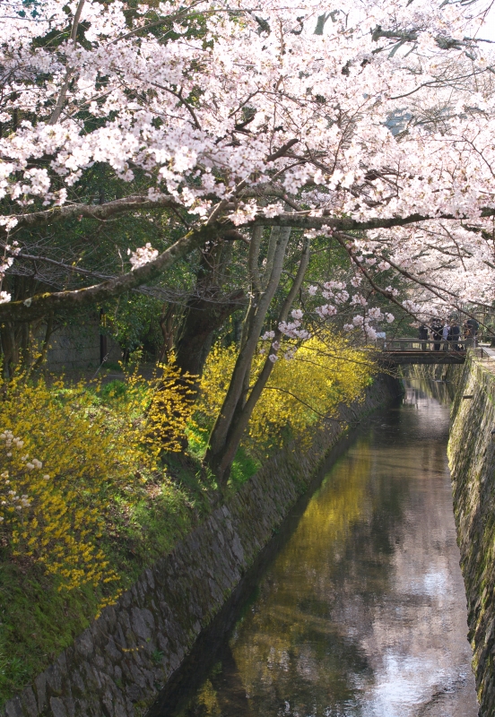 b0147449_191115.jpg