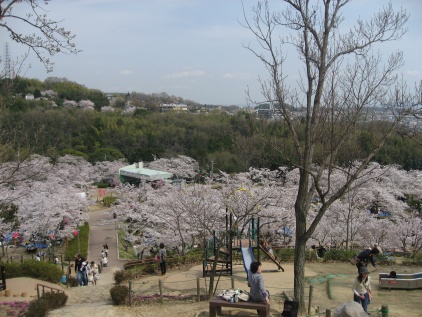 摂津峡めざして川上り_c0073649_16125170.jpg