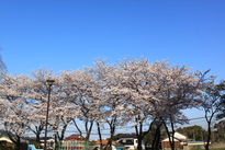 e0169149_20524975.jpg