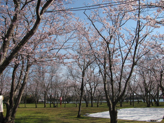 f0229750_8422234.jpg
