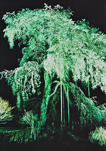 e0156251_071838.jpg