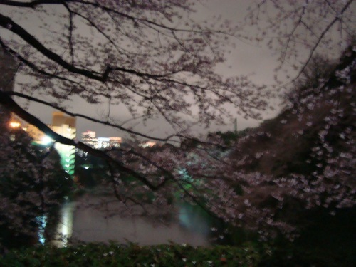 c0118352_6594022.jpg