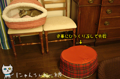 キャットベッド落とし失敗の夜_e0031853_23124755.jpg