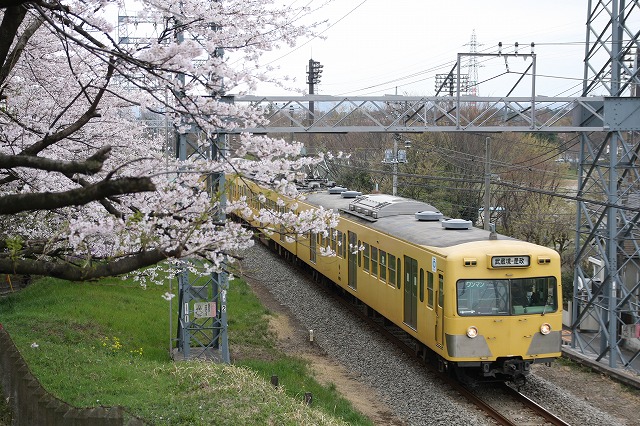 野川公園の桜と西武多摩川線_b0002858_132910.jpg